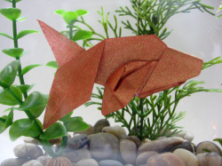 origami-betta-fish.jpg