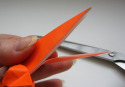 origami-betta-fish15.jpg