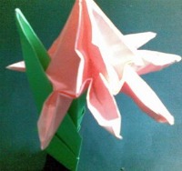origami-flower-8-petal-Pakistan.jpg