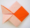 origami-goldfish-reverse.jpg