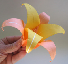 origami-lily-6petal.jpg
