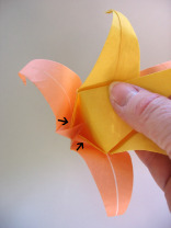 origami-lily-6petal27.jpg