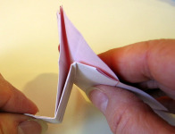 Origami Morning Glory Step 10