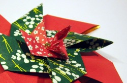 origami-pinwheel-blintzed.jpg