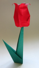 origami-tulip.jpg