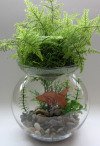 Click for how to origami-fishbowl-v2.jpg