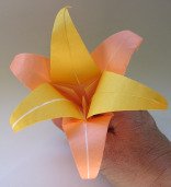 origami-lily-6petal28.jpg
