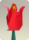 origami-tulip-hm.jpg