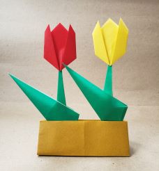 origami-tulip-display-class-project.jpg